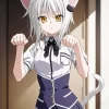 Koneko Toujou High School DxD Anime