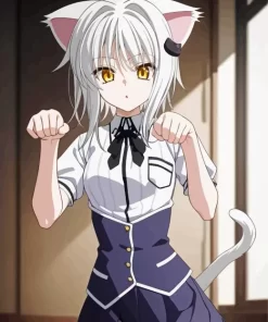 Koneko Toujou High School DxD Anime