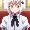 Koneko Toujou High School DxD Diamond By Numbers