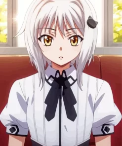 Koneko Toujou High School DxD Diamond By Numbers