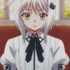 Koneko Toujou High School DxD Diamond With Numbers