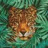 Leopard In The Jungle Diamond Painting