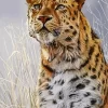 Leopard Looking Up Diamond Painting