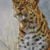 Leopard Looking Up Diamond Painting