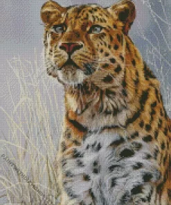 Leopard Looking Up Diamond Painting