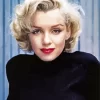 Marilyn Monroe Wearing Black Diamond Painting