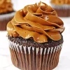 Moist Chocolate Cupcakes Diamond Painting