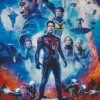 Ant Man Characters Poster Diamond Painting