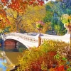 Autumn Central Park New York Diamond Painting