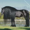 Black Friesian Horse Diamond Painting