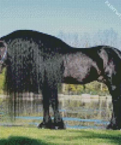 Black Friesian Horse Diamond Painting