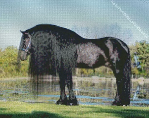 Black Friesian Horse Diamond Painting