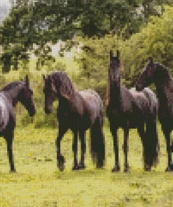 Black Friesian Horses Diamond Painting