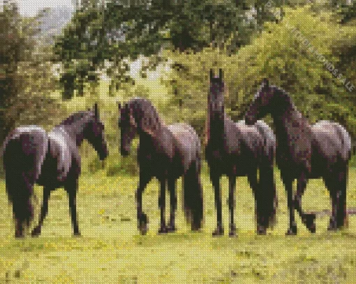 Black Friesian Horses Diamond Painting