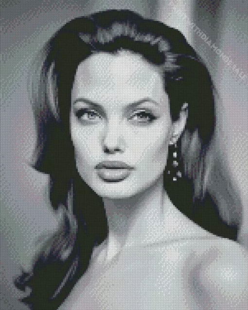 Black And White Angelina Jolie Diamond Painting