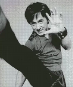 Black And White Jackie Chan Diamond Painting