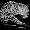 Black And White Leopard Diamond Painting