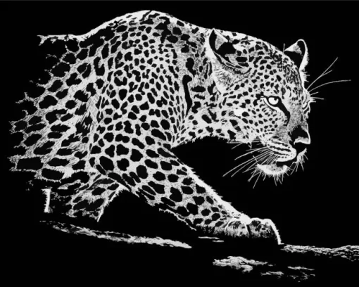 Black And White Leopard Diamond Painting