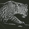 Black And White Leopard Diamond Painting