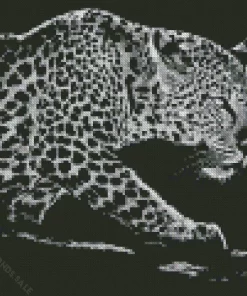 Black And White Leopard Diamond Painting