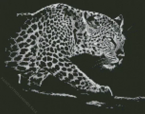 Black And White Leopard Diamond Painting