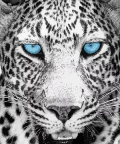 Blue Eyes Leopard Diamond Painting