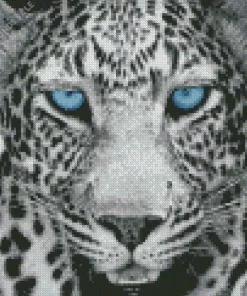 Blue Eyes Leopard Diamond Painting