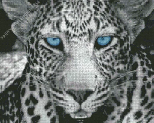 Blue Eyes Leopard Diamond Painting