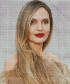 Charismatic Angelina Jolie Diamond Painting