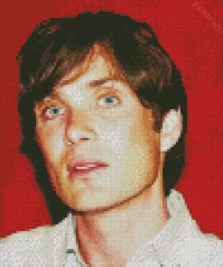 Charming Cillian Murphy Diamond Painting