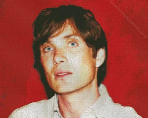 Charming Cillian Murphy Diamond Painting