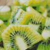 Chopped Kiwi Fruit Diamond Painting