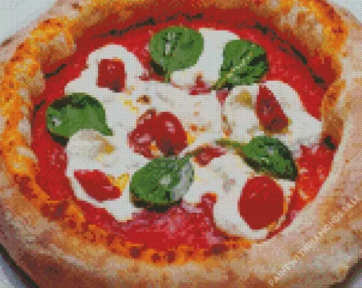 Cool Neapolitan Pizza Diamond Painting