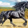 Friesian Horse Animal Diamond Painting