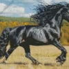 Friesian Horse Animal Diamond Painting