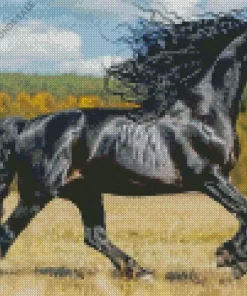 Friesian Horse Animal Diamond Painting