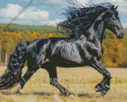 Friesian Horse Animal Diamond Painting