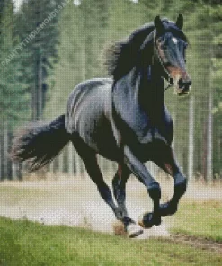 Friesian Horse In The Woods Diamond Painting