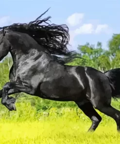 Friesian Horse Running Diamond Painting