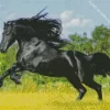 Friesian Horse Running Diamond Painting