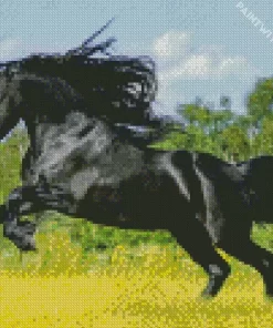 Friesian Horse Running Diamond Painting