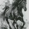 Friesian Horse Splatter Diamond Painting