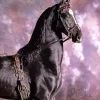 Friesian Horse With Purple Sky Diamond Painting