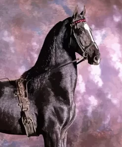 Friesian Horse With Purple Sky Diamond Painting