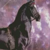 Friesian Horse With Purple Sky Diamond Painting