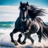 Friesian Horse With Waves Diamond Painting