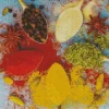 Indian Spices And Herbs Diamond Painting