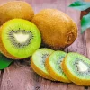 Kiwi Fruit Diamond Painting