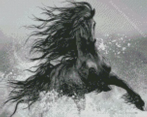 Majestic Black Horse Diamond Painting