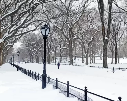 New York In Winter Diamond Painting